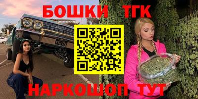 молекула духа Будённовск